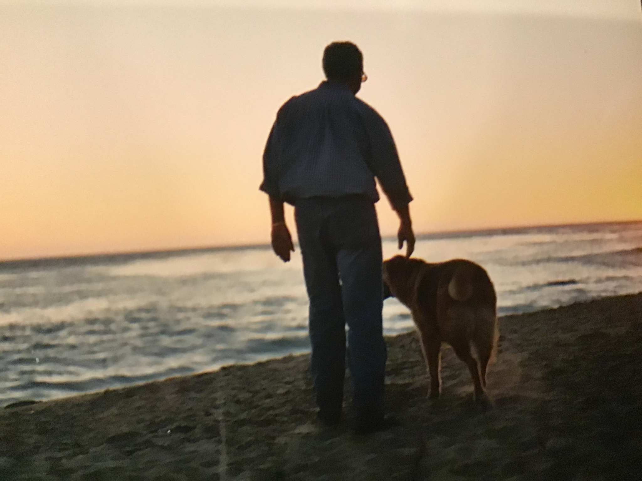A guest walking with a dog beside the ocean at sunset